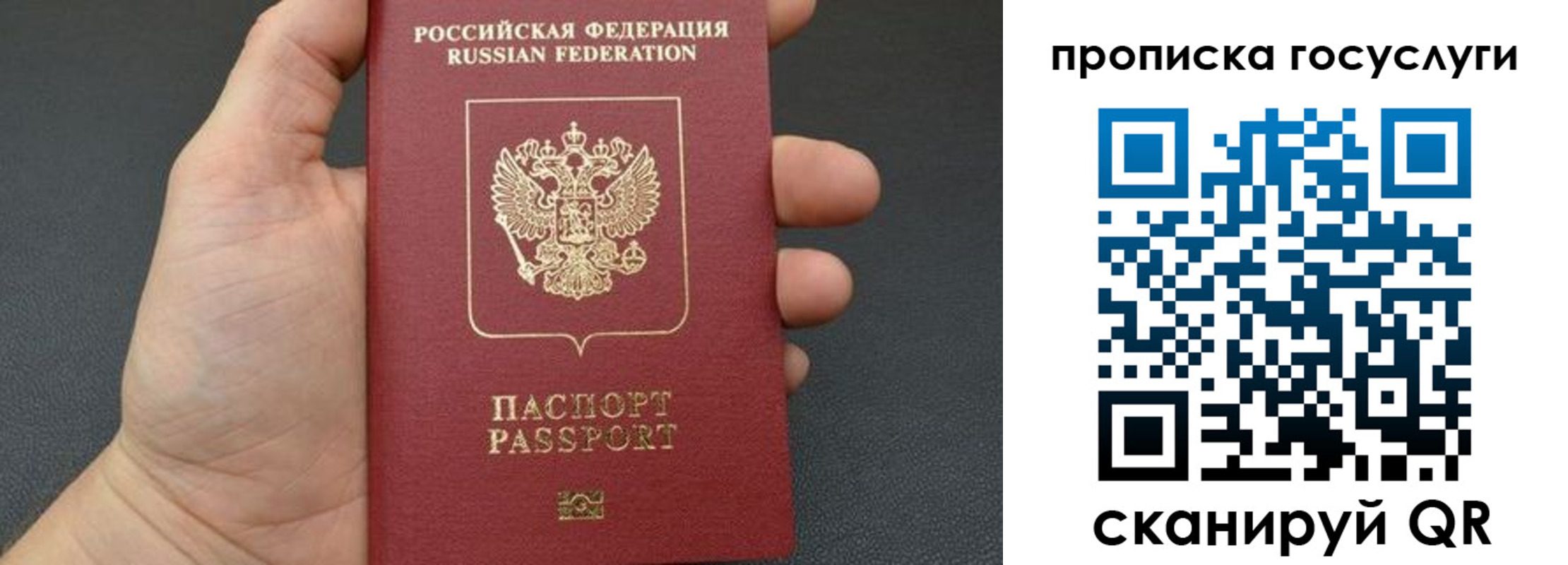 купить прописку в Вольске